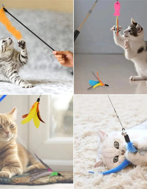 Load image into Gallery viewer, Cat Feather Toys, 13PCS Replacement Teaser with Bell Refills and 2PCS Retractable Cat Wand Toy , Interactive Cat Wand for Kitten Cat Having Fun Playing
