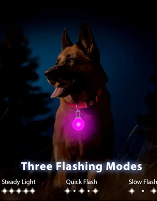Load image into Gallery viewer, Usb Charging Glowing Dog Collar with Pendant Detachable Luxury Led Light Bright for Small Dogs Cat Night Safety Collar Wholesale
