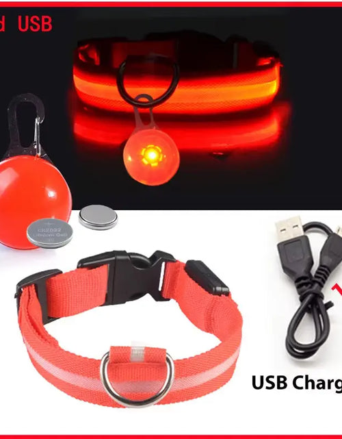 Load image into Gallery viewer, Usb Charging Glowing Dog Collar with Pendant Detachable Luxury Led Light Bright for Small Dogs Cat Night Safety Collar Wholesale
