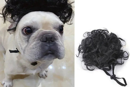 Pet Wigs Cosplay Props Dog Cat Cross-Dressing Hair Set Photography Funny Props Head Accessories Prank Pet Supplies Costumes DIY